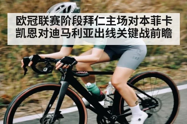 欧冠联赛阶段拜仁主场对本菲卡凯恩对迪马利亚出线关键战前瞻